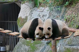 人生赢家！拉文晒圣诞节全家福 育有一子&妻子已身怀二胎